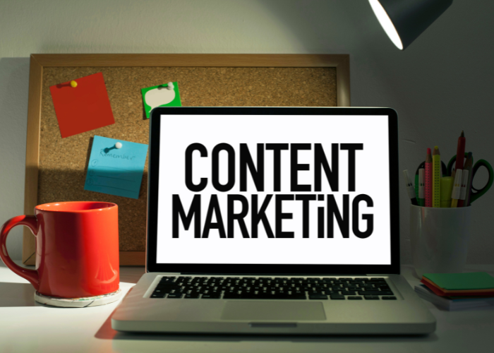 Website Development Agency in Aundh